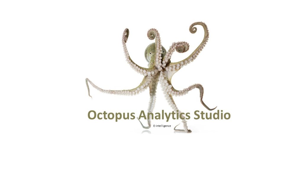 octopus analytics studio